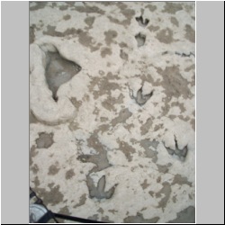 100_1530 (2009-07-27s)m.JPG